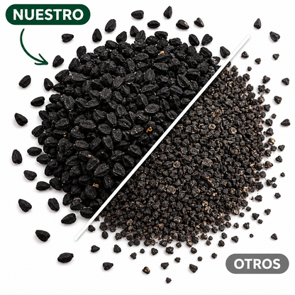 Bellora Ethiopian Black Seed Oil
