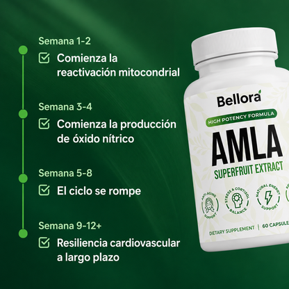 Bellora Amla Superfruit Capsules