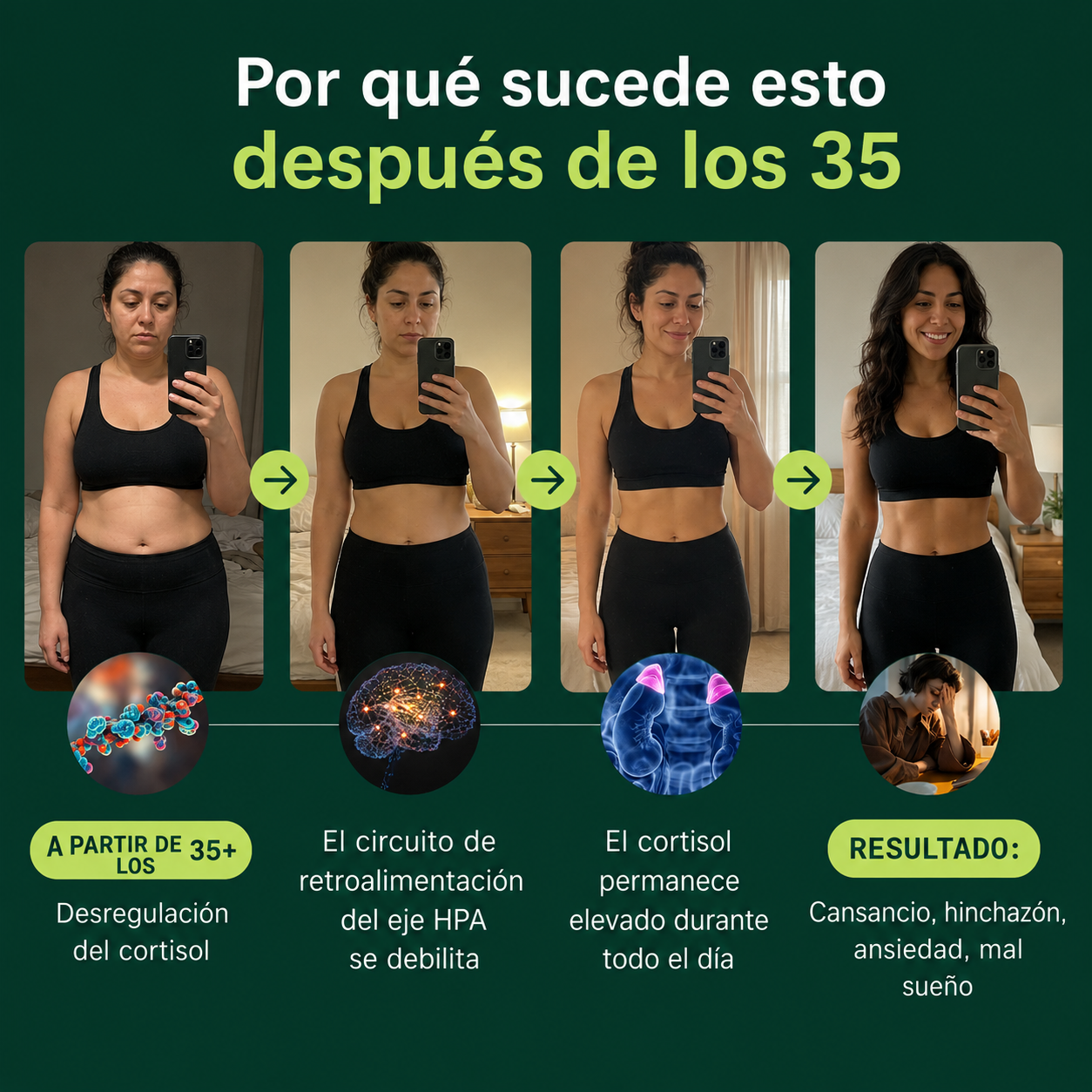 Rhodiola Rosea - Adaptógeno Natural [400 mg]