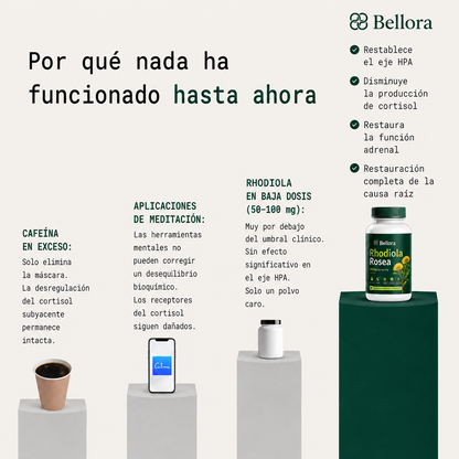 Rhodiola Rosea - Adaptógeno Natural [400 mg]